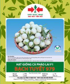 Hạt giống Cà Pháo