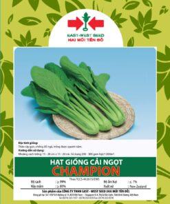 Hạt giống cải ngọt