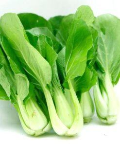 Hạt giống rau cải thìa (10gr)