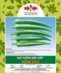 Hạt giống đậu bắp