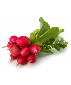Hạt giống củ cải đỏ (2gr)