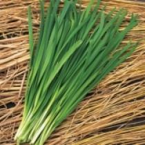 Hạt giống hẹ (5gr)