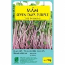 Hạt giống mầm Sevenday PP (10gr)